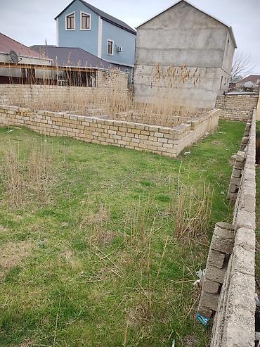 sabuncuda: 4 sot, Tikinti, Mülkiyyətçi, Kupça (Çıxarış) — 3
