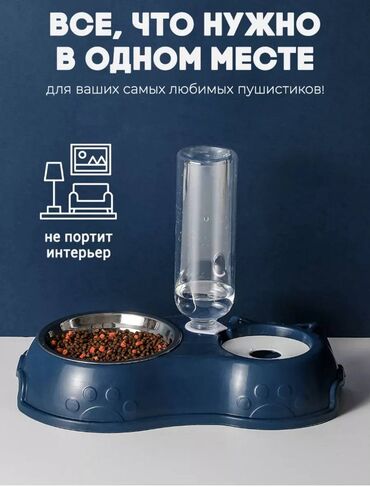чёрная кошка: Миска для кормления домашних животных с двойной функциональностью