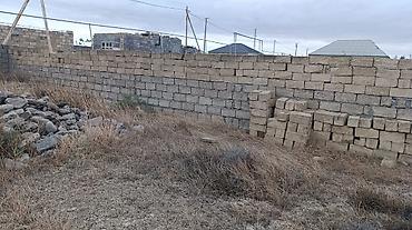 saray torpag: 6000 sot, Tikinti, Bələdiyyə — 5