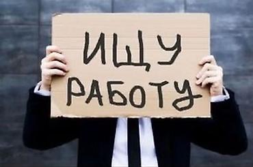 фото транзит: Помощник. Без опыта — 1