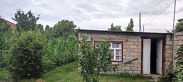 Bağ evlərinin satışı: Bağ evi və meyvə bağı - Həyətyanı sahədə sıx yaşıllıq, meyvə ağacları — 6