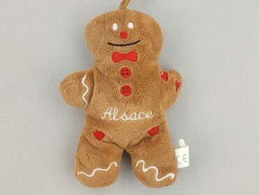 Mascot condition - Very good
