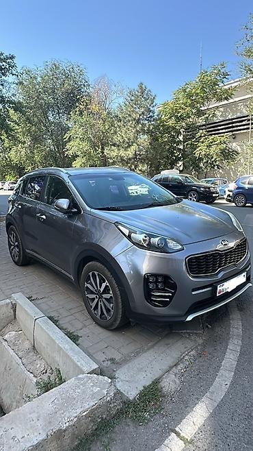 sprinter rex: Kia Sportage: 2017 г., 1.7 л, Дизель, Кроссовер — 1