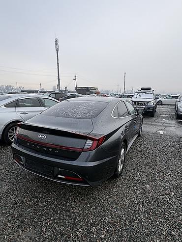 Hyundai: Hyundai Sonata: 2020 г., 2 л, Автомат, Бензин, Седан — 5