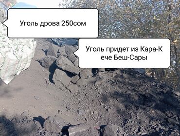 семена кукуруза маями: Уголь и дрова в мешках - Уголь привозной из Кара-Кече (Беш-Сары)