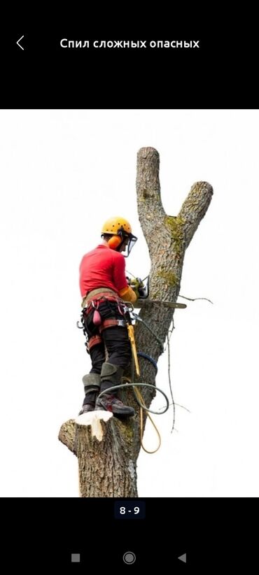 Другие услуги: Спиль дерево 🌲 Любой сложности Бак Дарак кесебиз аварийный абалда