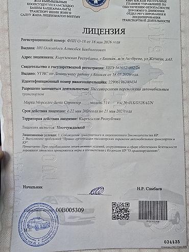 bis vip: Премиальный пассажирский микроавтобус (минибас) с комфортабельным — 5