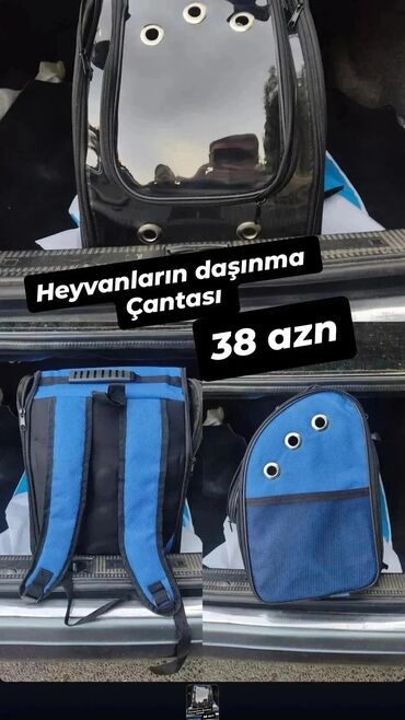 guclu itler: Heyvanlarin daşınma çantası satılır. ***Təzədir.it və pişik üçündür