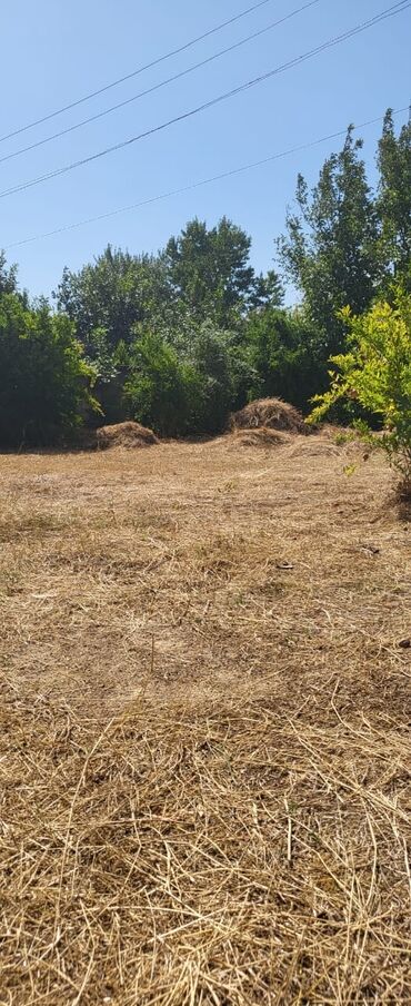 Torpaq sahələrinin satışı: 46 sot, Kənd təsərrüfatı, Mülkiyyətçi, Kupça (Çıxarış) -da lalafo.az — 9 Torpaq sahələrinin satışı: 46 sot, Kənd təsərrüfatı, Mülkiyyətçi, Kupça (Çıxarış) — 9