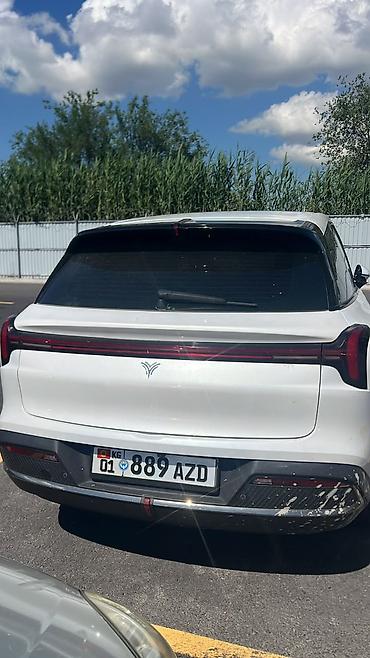 Унаа: Hozon Neta L: 2023 г., 1.5 л, Автомат, Гибрид, Кроссовер — 5