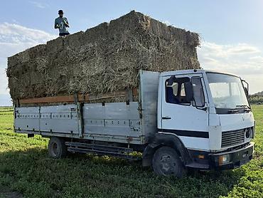 1kr fe: Mercedes-Benz : 1994 г., 6 л, Механика, Дизель — 3
