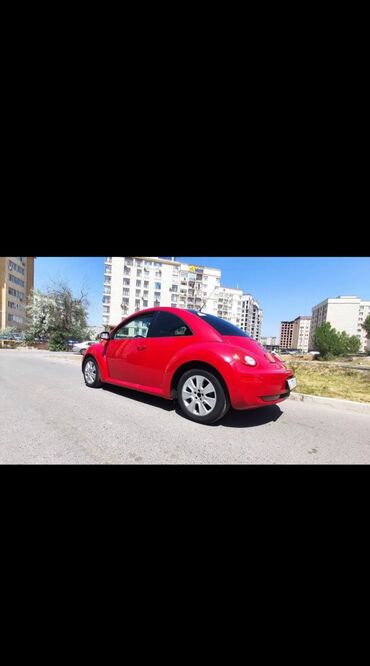 фольксваген сс: Volkswagen Beetle: 2009 г., 2 л, Автомат, Бензин, Купе