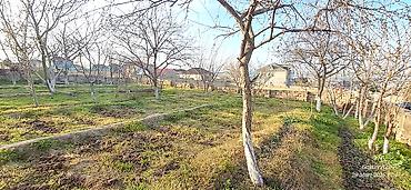 tovuzda: 3 sot, Tikinti, Mülkiyyətçi, Kupça (Çıxarış) — 4