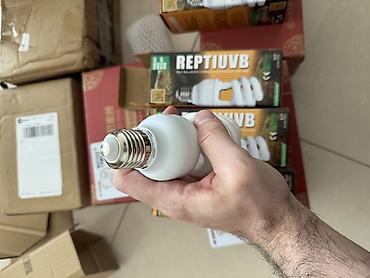 uvb: 💡Peşəkar Reptile UVB Lampa – Sağlamlıq və Güclü İnkişaf üçün! 🦎🌞 26W — 5