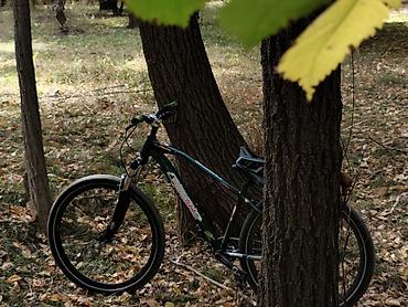 Горные велосипеды: Продам велосипед Рама omer max 295 Колеса 27,5 Тормоз Shimano Deore — 2