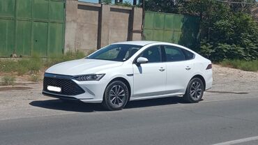 1 9 tdi: Whatsapp yazin masinlarmiz var. Bolt Fleet Azərbaycan sizi Salamlayir