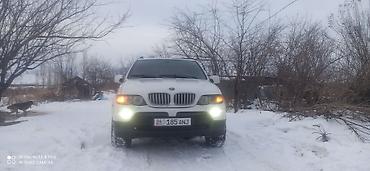 BMW: BMW X5 M: 2005 г., 4.4 л, Автомат, Бензин, Внедорожник — 2