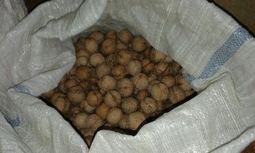арахис цена бишкек: Орехи урожай 2023, цена 70с