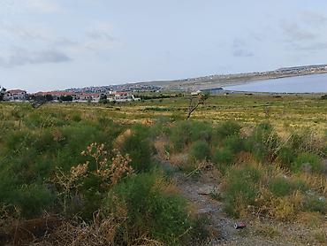 torpag satilir: 368 sot, Tikinti, Maklerlər narahat etməsin, Kupça (Çıxarış) — 7