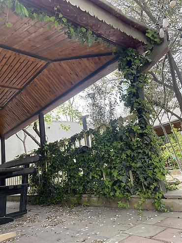Bağ evlərinin kirayəsi: Keşlə qəs., 500 kv. m, 10 otaq, Hovuzlu, Kanalizasiya, Qaz, Su — 12