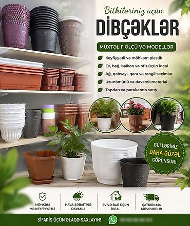 🌿 Dibçəklər – Evinizə və Bağınıza Gözəllik Qatın! 🪴 Keyfiyyətli və