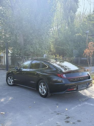 sonata dn: Hyundai Sonata: 2020 г., 2 л, Автомат, Газ, Седан — 4