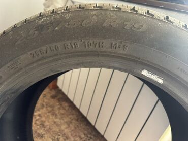 шина срв: Шины 255 / 50 / R 19, Всесезонная, Комплект, Легковые, Pirelli