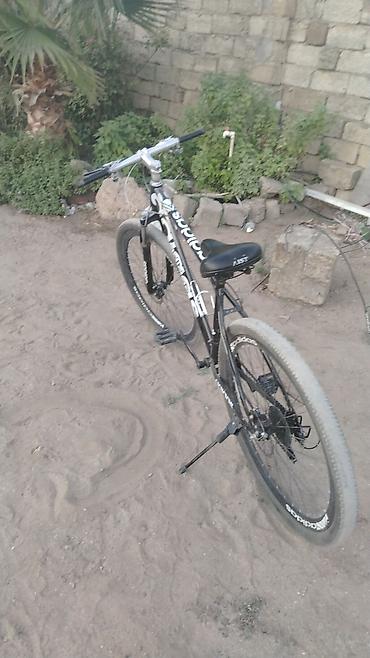 bicycle 29: İşlənmiş Şəhər velosipedi Adidas, 29", Ünvandan götürmə — 1
