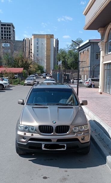 шаран 1 9: BMW X5: 2004 г., 3 л, Типтроник, Дизель, Внедорожник