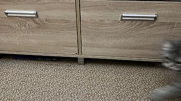 Гарнитуры для прихожей: Гарнитур для прихожей, Новый, Тумба, Вешалка, Обувница, МДФ, Самовывоз — 17