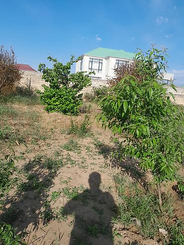 Torpaq sahələrinin satışı: 10 sot, Tikinti, Mülkiyyətçi, Kupça (Çıxarış) — 6