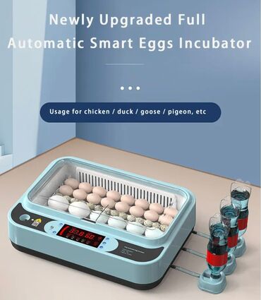 Oprema za kućne ljubimce: INKUBATOR Automatski nove generacije za 36 jaja 12v/220v — 7