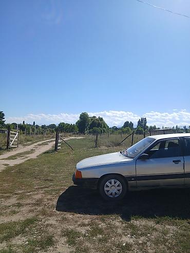 john dere: Audi 100: 1988 г., 2.3 л, Механика, Седан — 3