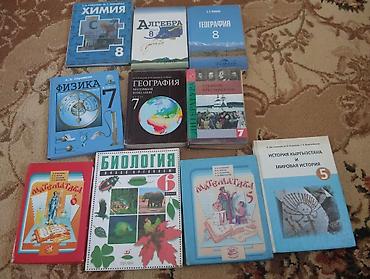 Комплект школьных учебников по разным предметам для 5–8 классов