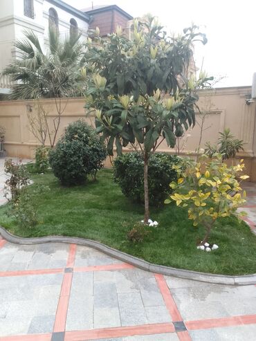 Bağbanlar: Salam bağ evlərində, Abyektlərdə parklarda bağban xidməti görülür — 21