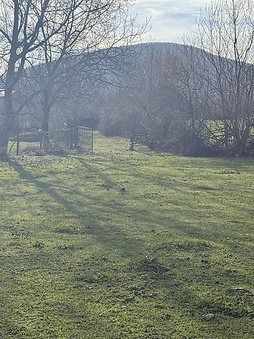 Torpaq sahələrinin satışı: 35 sot, Mülkiyyətçi — 13