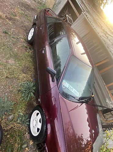 капот на сапог: Audi 80: 1992 г., 2 л, Механика, Бензин, Седан — 10