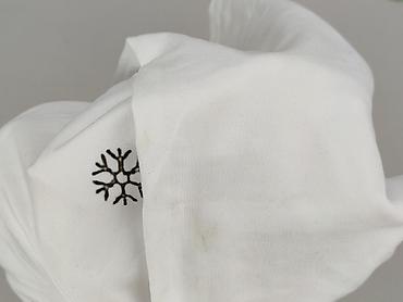 2000: T-shirt damski, rozmiar S — 6