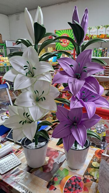 Лилии: Лилии — 10