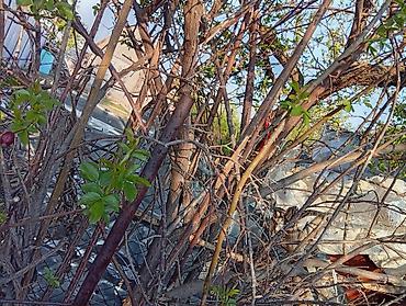 Продажа домов: Дача, 20 м², 2 комнаты, Собственник — 4