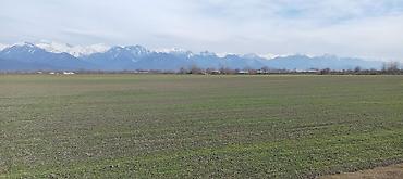 Torpaq sahələrinin satışı: Kənd təsərrüfatı — 1