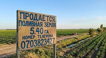с выходом на речку: 540 соток, Для сельского хозяйства, Красная книга, Тех паспорт — 1