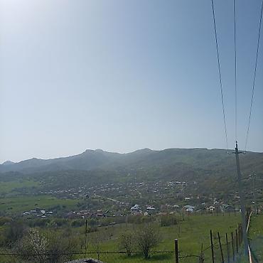 Torpaq sahələrinin satışı: Kənd təsərrüfatı — 24