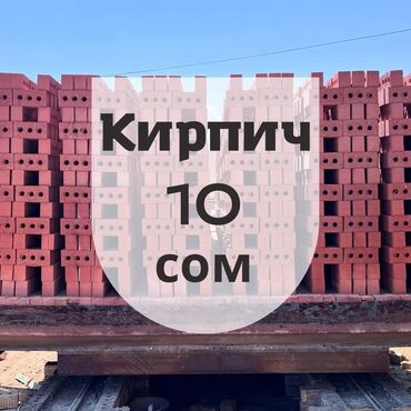 лоток для яйца: Пустотелый, дырчатый, Жженый кирпич, Полублок, 250x120x90