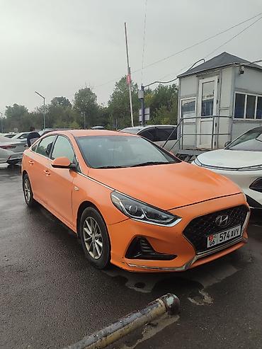 хадовой: Hyundai Sonata: 2020 г., 2 л, Автомат, Газ, Седан — 1