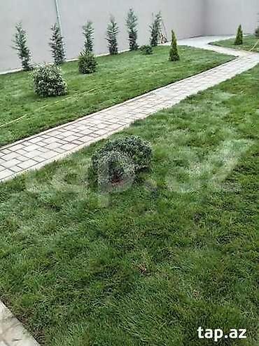 landşaft dizayn: Landşaft dizaynı və yaşıllaşdırma xidməti - Həyətyanı sahələr, bağ və — 2