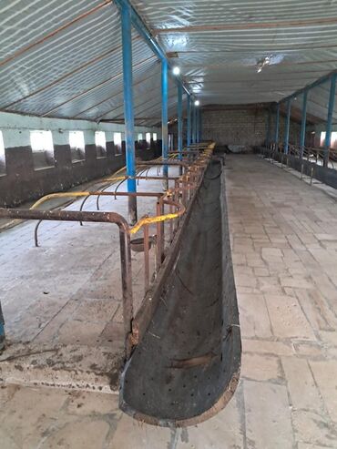 Torpaq sahələrinin satışı: Kənd təsərrüfatı -da lalafo.az — 17 Torpaq sahələrinin satışı: Kənd təsərrüfatı — 17