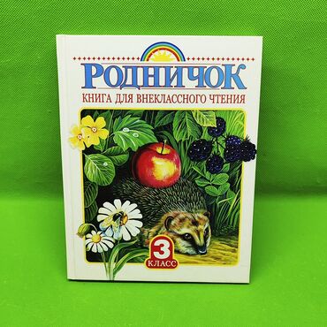 dvd диск размер: Книга для внеклассного чтения ребенка 3 класс📚 Позвольте ребенку