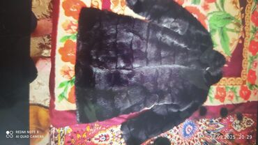 Шубы: Шуба из натурального меха, темно-черного цвета. Описание: - Длина