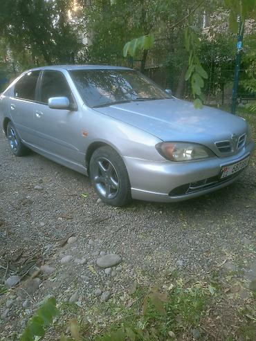 li 8: Nissan Primera: 2001 г., 1.8 л, Механика, Бензин, Хэтчбэк — 2